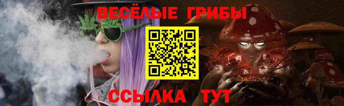 Псилоцибиновые грибы MAGIC MUSHROOMS Бутурлиновка